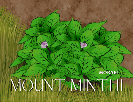 Mount Minthi - Wild Mint, Hay, Moss, Trees, Cypress Absolute