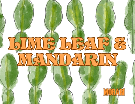 Lime Leaf & Mandarin - Makrut Lime Leaf, Green Mandarin, Neroli, Frankincense, Amyris