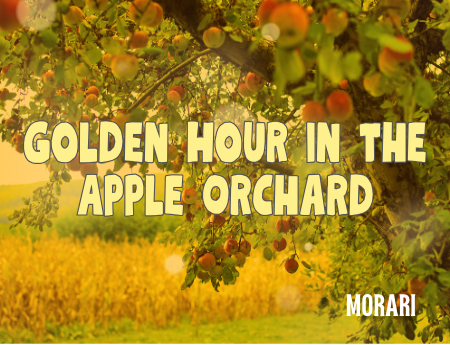 Golden Hour in the Apple Orchard - Apple, Hay, Saffron, Vetiver, Fir Balsam Absolute, Dry Woods, Labdanum