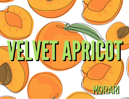 Velvet Apricot  - Apricot, Cashmere, Chamomile, Blood Orange, Cardamom