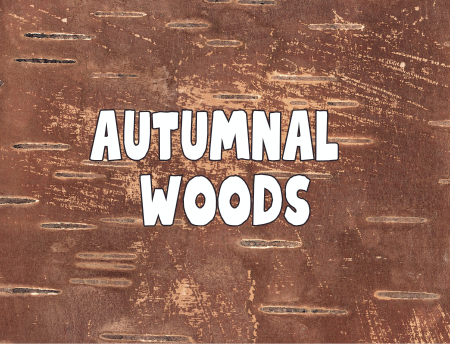 Autumnal Woods Collection