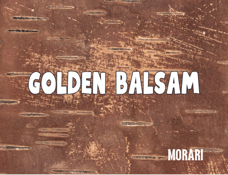 Golden Balsam - Fir Balsam Absolute, Labdanum, Flouve, Bois d'Encense, Flourmand Base