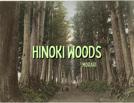 Hinoki Woods - Hinoki, Petrichor, Patchouli, Palmarosa