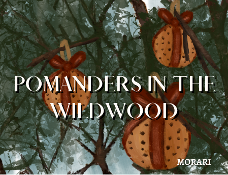 Pomanders in the Wildwood - Orange, Clove, Fir Balsam, Cold Air